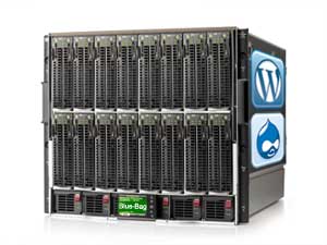 Blue-Bag CMS Hosting