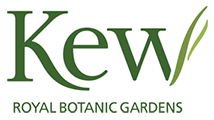 Kew Gardens