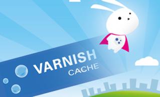 Varnish Cache